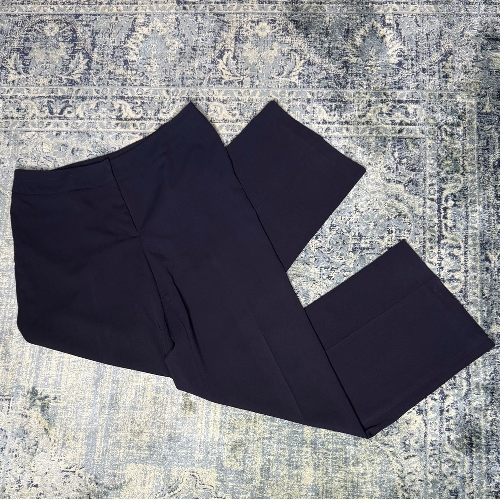Ann Taylor Crop Pants 10